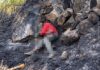 PUENTE CCOYO ENLUTA A UNA FAMILIA TRAS TRÁGICO INCENDIO