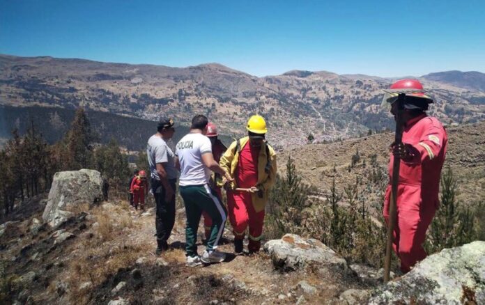 SEIS DÍAS DE LUCHA CONTRA EL FUEGO1