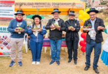 TURPO FORTALECE SU PRODUCCIÓN PECUARIA CON ENTREGA DE 40 OVINOS A PRODUCTORES DE QATARY TURPO