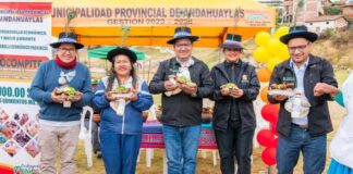 TURPO FORTALECE SU PRODUCCIÓN PECUARIA CON ENTREGA DE 40 OVINOS A PRODUCTORES DE QATARY TURPO