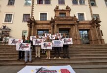 ZULIANA LAINEZ, PRESIDENTA DE LA FIP: “EL ESTADO TIENE QUE GARANTIZAR LA SEGURIDAD DE LOS PERIODISTAS”